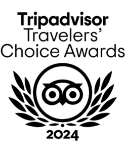 Award 5